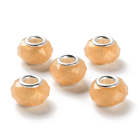 Pearlized Resin European Beads RESI-M001-01C-1