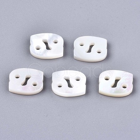 Natural White Shell Beads SSHEL-ZX004-02D-1