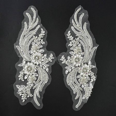 Phoenix Tail Pattern Glass Rhinestone & Mesh Base Fabrics Handwork Embroidery Cloth Sew on Appliques PATC-WH0009-02B-1