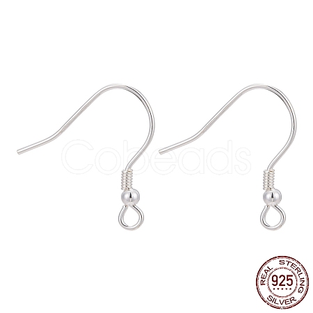 Sterling Silver Earring Hooks X-STER-M031-02S-1
