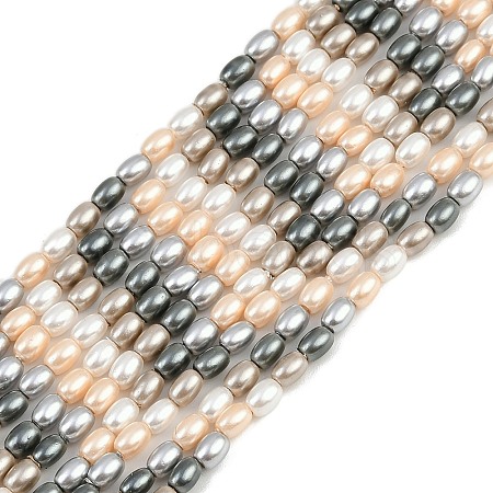 Electroplated Shell Pearl Beads Strands BSHE-H113-06B-03-1