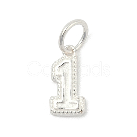 Number Series 925 Sterling Silver Charms STER-Q002-01B-1