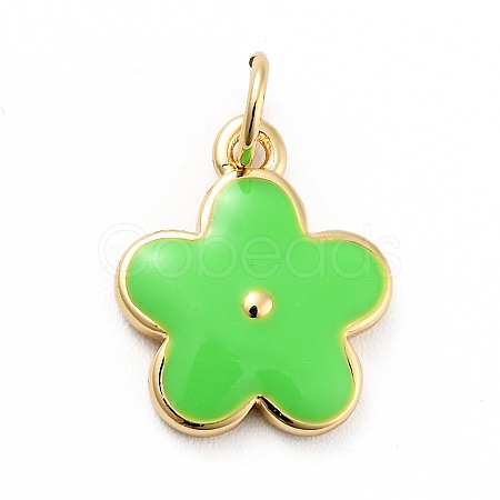 Rack Plating Brass Enamel Charms KK-G387-09G-08-1