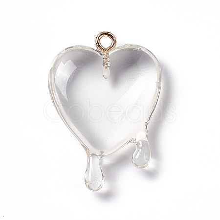 Transparent Resin Pendants RESI-F028-01E-1