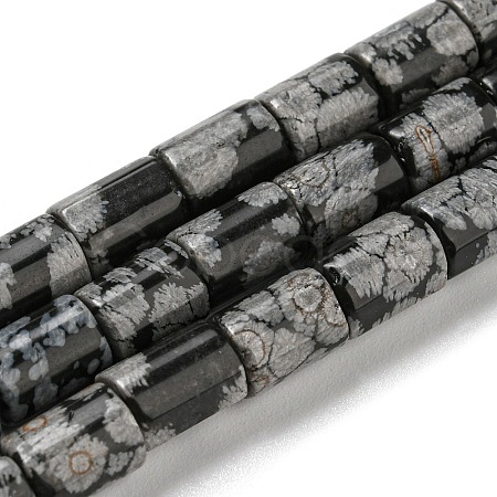 Natural Snowflake Obsidian Stone Beads Strands G-Q1008-A02-1
