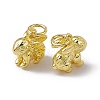 Rack Plating Brass Charms KK-C007-17G-2