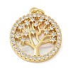 Brass Micro Pave Cubic Zirconia Pendants X1-KK-K298-16G-02-1