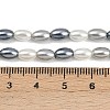 Electroplated Shell Pearl Beads Strands BSHE-H113-06C-02-4