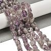 Natural Purple Phantom Quartz Purple Lodolite Quartz Beads Strands G-P497-01E-39A-2