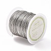 Non-Tarnish 316 Surgical Stainless Steel Wire TWIR-L004-01B-P-5