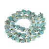 Natural Amazonite Beads Strands G-N371-10A-06-3