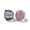 Natural Fluorite Beads G-P483-06-3