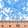 Glass Bugle Beads SEED-S032-11A-103B-4