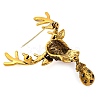Animal Zinc Alloy Rhinestone Brooches JEWB-R052-01AG-02-2