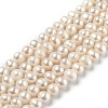 Natural Cultured Freshwater Pearl Beads Strands PEAR-L033-24-01-1