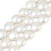 Electroplated Shell Pearl Beads Strands BSHE-G027-13D-2