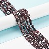 Natural Garnet Beads Strands G-L478-52-2