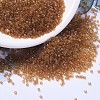 MIYUKI Delica Beads SEED-J020-DB1101-1
