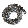 Natural Labradorite Beads Strands G-Z133-A01-10mm-02-3