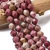 Natural Rhodonite Beads Strands G-Z119-A14-03-1
