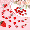 30Pcs Lampwork Beads LAMP-PA0001-53-4