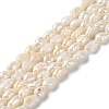 Natural Keshi Pearl Beads Strands PEAR-E018-66-1