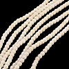 Synthetic Turquoise Beads Strands X-TURQ-G106-4mm-02Q-2