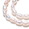 Natural Cultured Freshwater Pearl Beads Strands PEAR-N012-02K-5