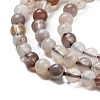 Natural Botswana Agate Beads Strands G-G143-A02-01-4