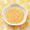 Transparent Colours Glass Seed Beads SEED-H003-01J-2