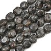 Natural Fluorescent Syenite Rock(Glow under UV Light)  Beads Strands GG-CBA787B-A42-2