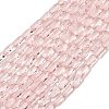 Transparent Glass Beads Strands GLAA-Z018-C22-1