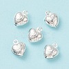 304 Stainless Steel Charms STAS-F180-03S-2