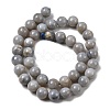 Natural Gemstone Beads Strands G-L641-A01-04-3
