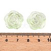 Transparent Acrylic Beads OACR-N137-32C-3