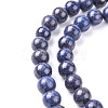 Natural Lapis Lazuli Beads G-K311-14B-2