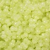 Transparent Colours Glass Seed Beads SEED-R001-01M-2