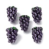 Fruit Series Handmade Lampwork Beads LAMP-R003-04D-1