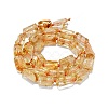 Natural Citrine Beads Strands G-O170-113-2