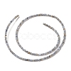 Natural Freshwater Shell Beads Strands X-SHEL-P017-01A-13-2