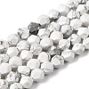 Natural Howlite Beads Strands G-Z119-A43-01-3