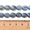 Natural Kyanite Beads Strands G-H335-D01-8x10mm-5