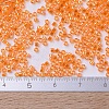 MIYUKI Delica Beads X-SEED-J020-DB0151-4