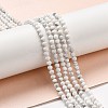 Natural Howlite Beads Strands G-E608-A01-B-5