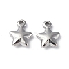 Non-Tarnish 304 Stainless Steel Charms X-STAS-C066-19P-1