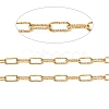 Ion Plating(IP) 304 Stainless Steel Textured Paperclip Chains CHS-G027-04G-2