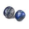 Natural Lapis Lazuli Beads G-G348-01B-06-2