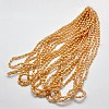 Electroplate Glass Beads Strands EGLA-J013-4X6mm-FM4-3