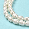 Natural Cultured Freshwater Pearl Beads Strands PEAR-E016-171-4