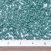 MIYUKI Round Rocailles Beads SEED-G007-RR0435-4